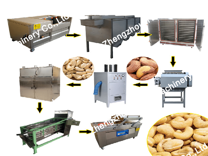 Cashew processing line