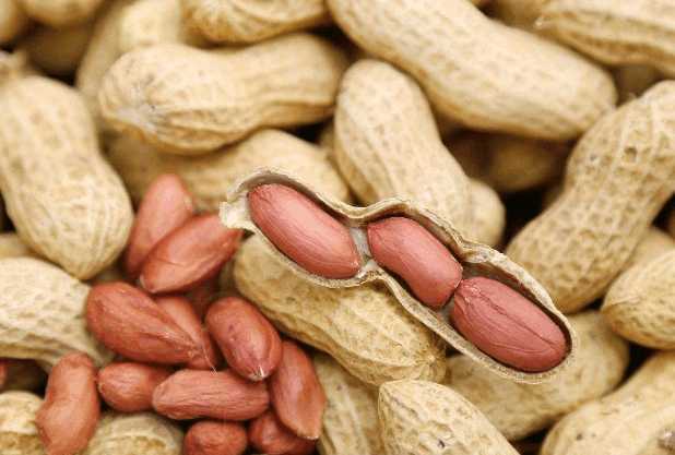 Cacahuètes nutritives
