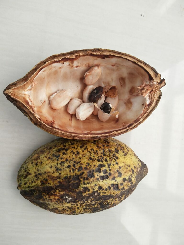 Какао после разрезания