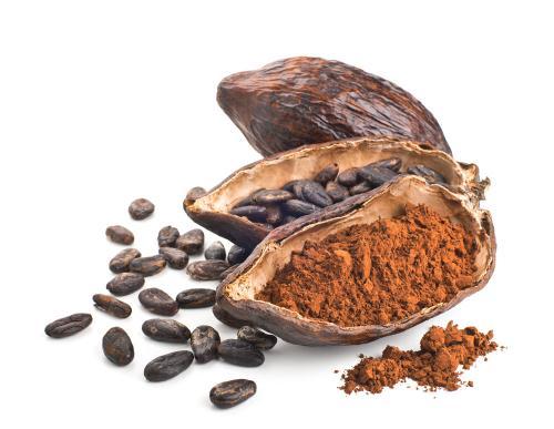Nutrient-rich cocoa