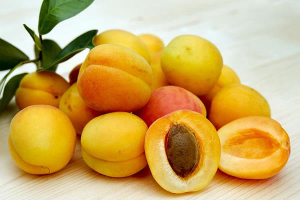 Apricot seeds