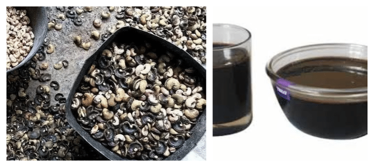 Cashew nut shell liquid