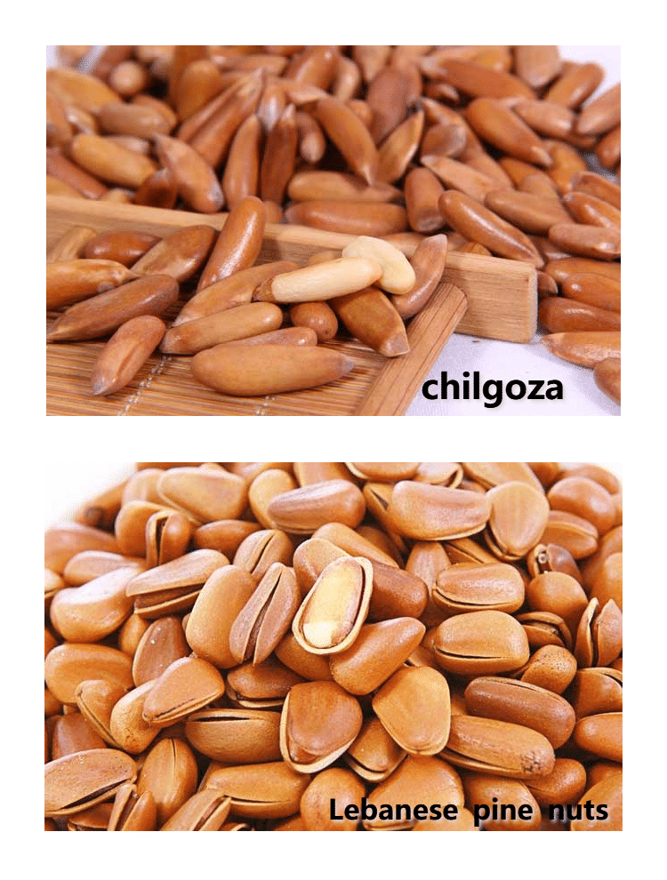 Types of pine nuts