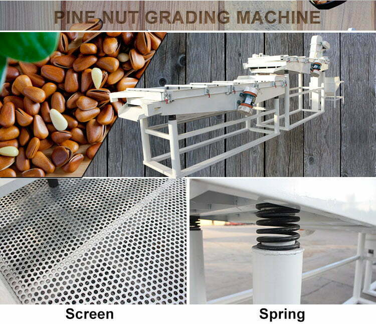 Pine nut grading machine
