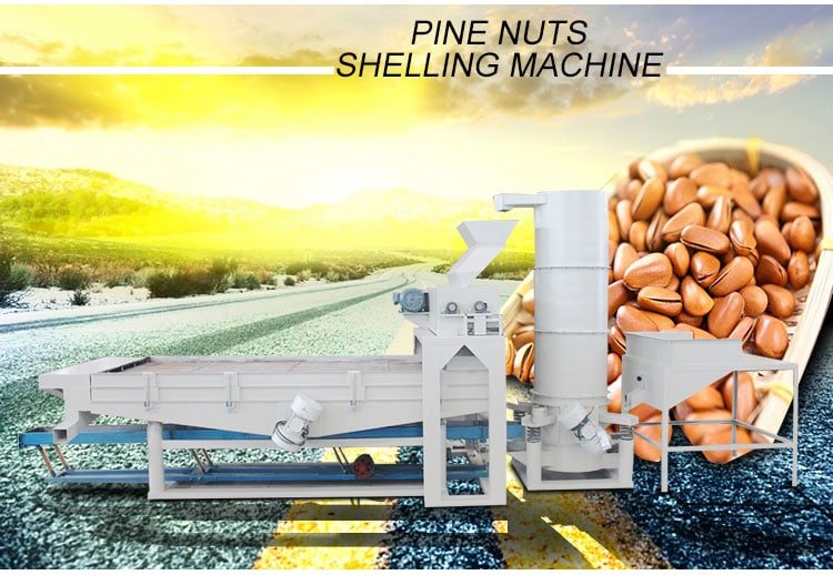 Pine nut shelling machine