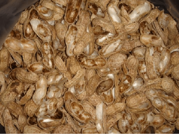 Application de coquilles d'arachide