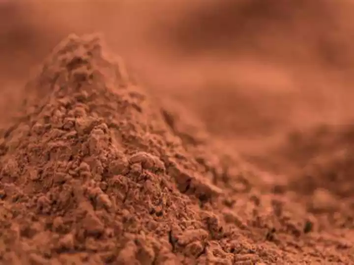 Polvo de cacao